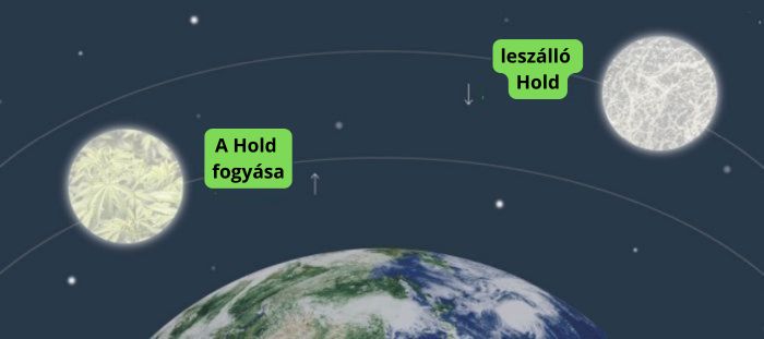 Kannabisz termesztése a Holdfázisoknak megfelelően